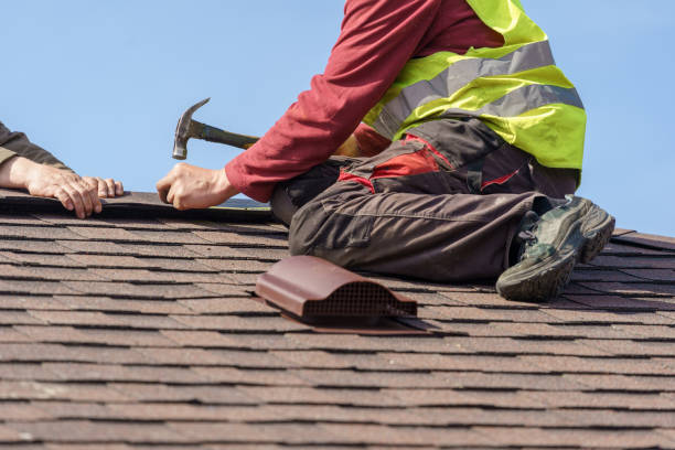 Best Roof Gutter Cleaning  in Elroy, NC