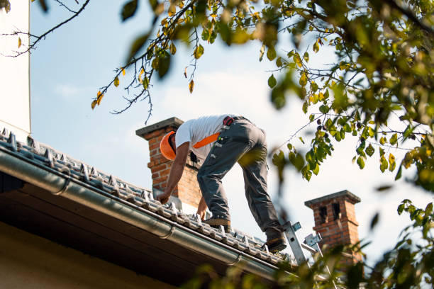 Best Emergency Roof Repair  in Elroy, NC