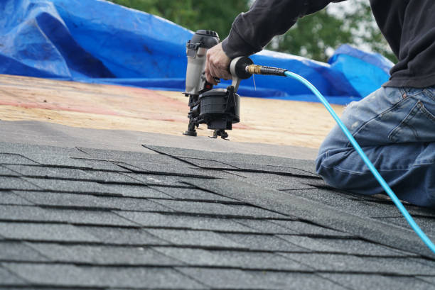 Best Roof Gutter Cleaning  in Elroy, NC