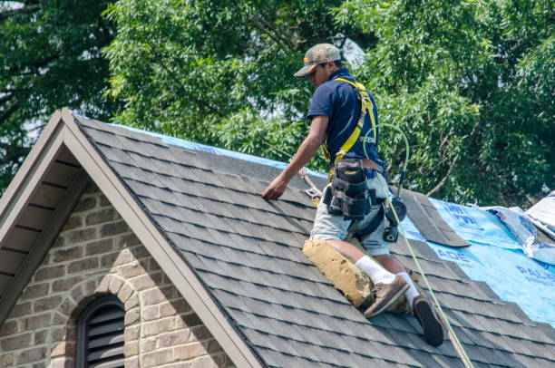 Best New Roof Installation  in Elroy, NC